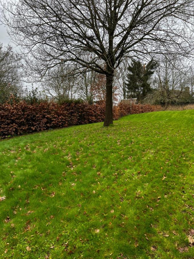 4 St Richard'S Cottages Fittleworth Dış mekan fotoğraf
